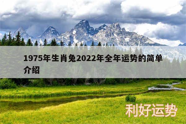 1975年生肖兔2024年全年运势的简单介绍