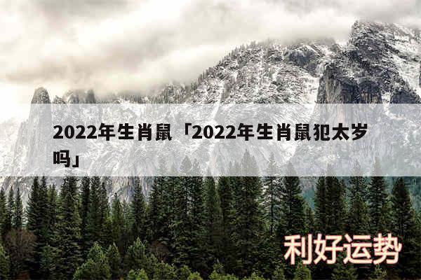 2024年生肖鼠及2024年生肖鼠犯太岁吗