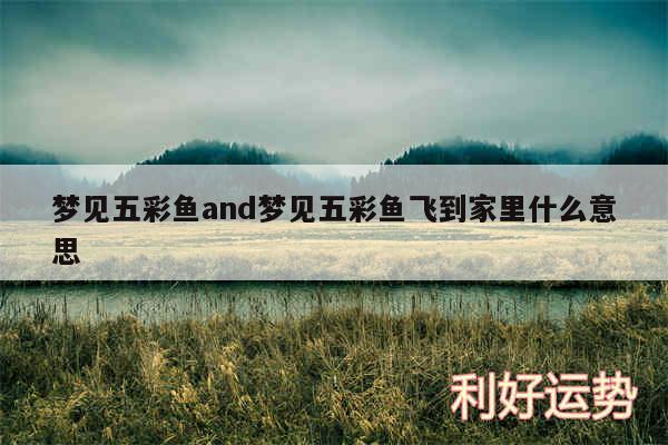 梦见五彩鱼and梦见五彩鱼飞到家里什么意思