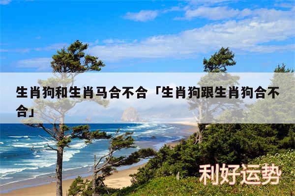 生肖狗和生肖马合不合及生肖狗跟生肖狗合不合