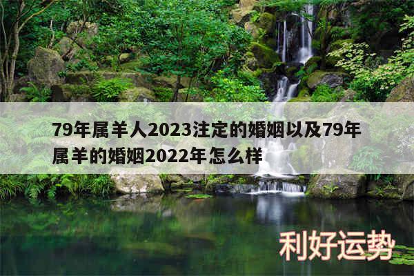 79年属羊人2024注定的婚姻以及79年属羊的婚姻2024年怎么样