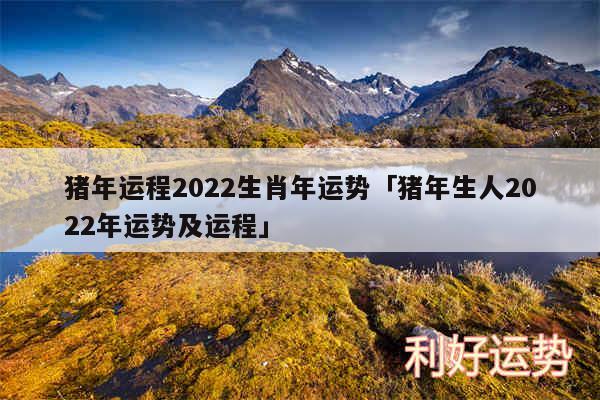 猪年运程2024生肖年运势及猪年生人2024年运势及运程