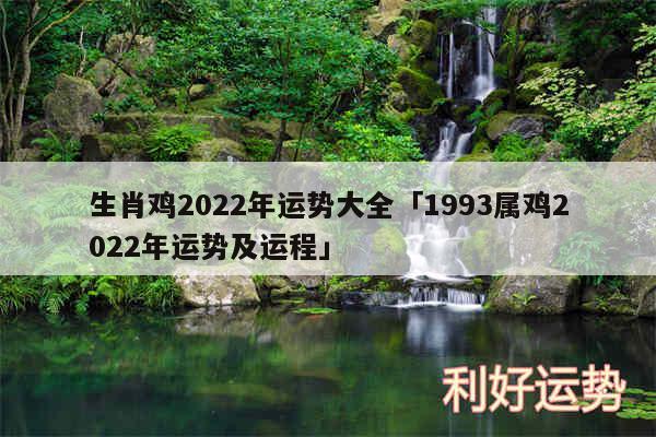 生肖鸡2024年运势大全及1993属鸡2024年运势及运程