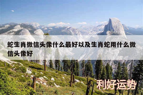 蛇生肖微信头像什么最好以及生肖蛇用什么微信头像好