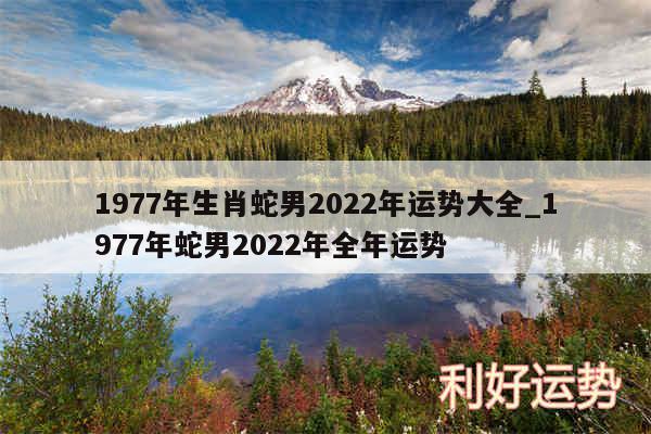 1977年生肖蛇男2024年运势大全_1977年蛇男2024年全年运势