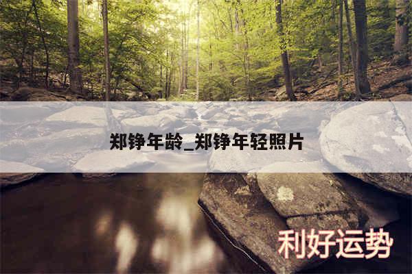 郑铮年龄_郑铮年轻照片