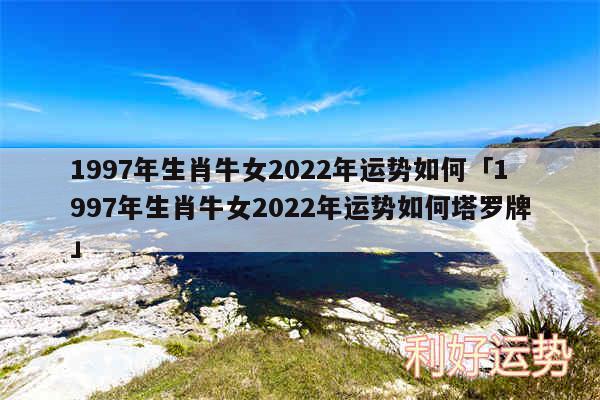 1997年生肖牛女2024年运势如何及1997年生肖牛女2024年运势如何塔罗牌