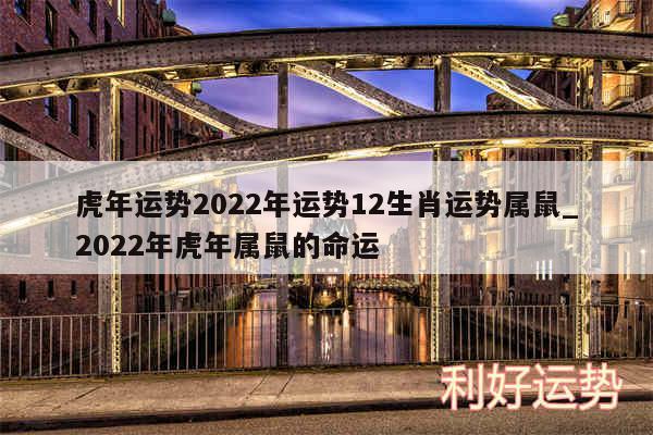 虎年运势2024年运势12生肖运势属鼠_2024年虎年属鼠的命运