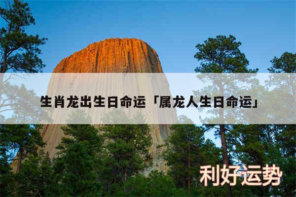 生肖龙出生日命运及属龙人生日命运
