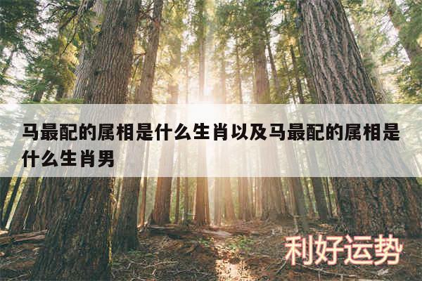 马最配的属相是什么生肖以及马最配的属相是什么生肖男