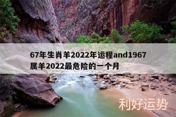 67年生肖羊2024年运程and1967属羊2024最危险的一个月