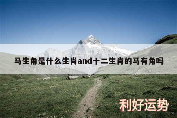 马生角是什么生肖and十二生肖的马有角吗