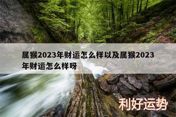 属猴2024年财运怎么样以及属猴2024年财运怎么样呀