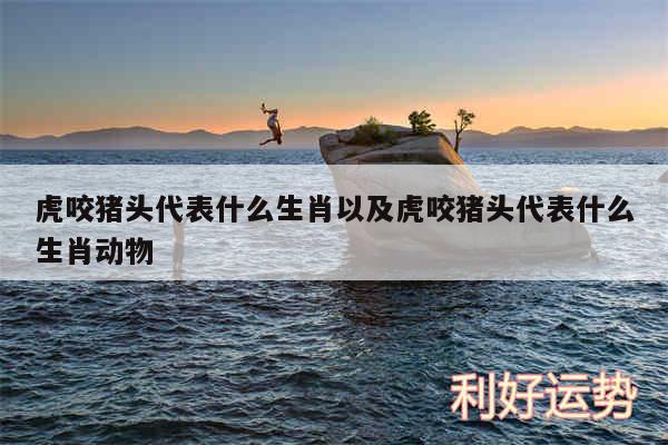虎咬猪头代表什么生肖以及虎咬猪头代表什么生肖动物