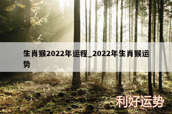 生肖猴2024年运程_2024年生肖猴运势