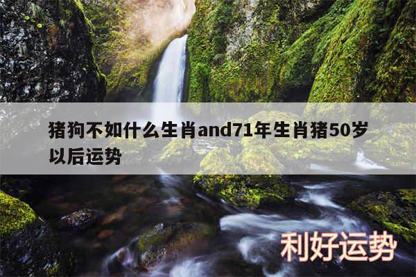 猪狗不如什么生肖and71年生肖猪50岁以后运势