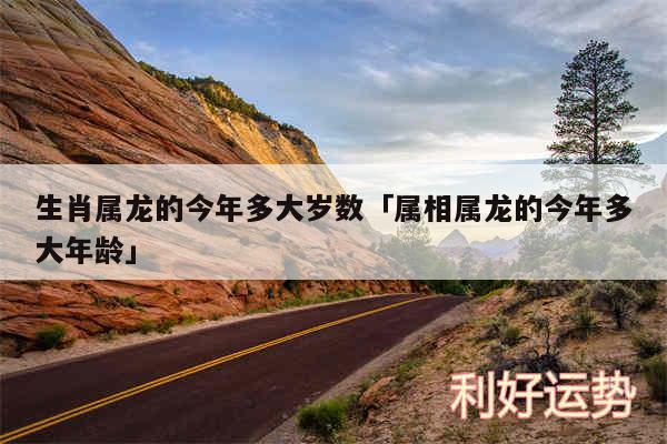 生肖属龙的今年多大岁数及属相属龙的今年多大年龄
