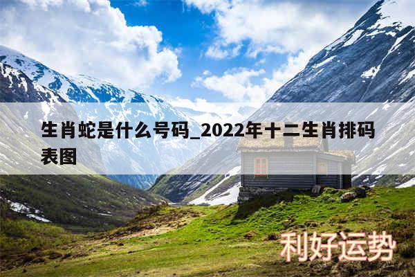 生肖蛇是什么号码_2024年十二生肖排码表图