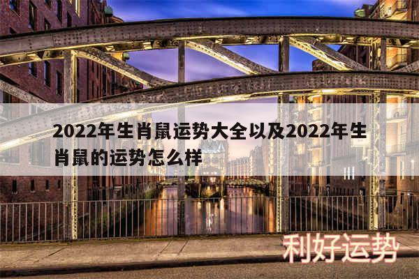 2024年生肖鼠运势大全以及2024年生肖鼠的运势怎么样