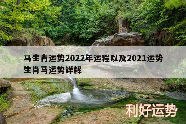 马生肖运势2024年运程以及2024运势生肖马运势详解