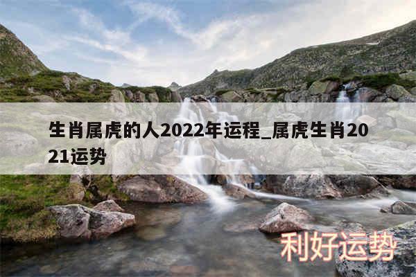 生肖属虎的人2024年运程_属虎生肖2024运势