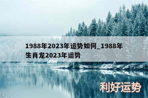 1988年2024年运势如何_1988年生肖龙2024年运势