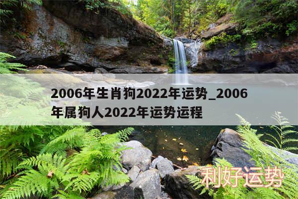 2006年生肖狗2024年运势_2006年属狗人2024年运势运程