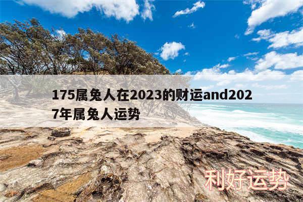 175属兔人在2024的财运and2027年属兔人运势