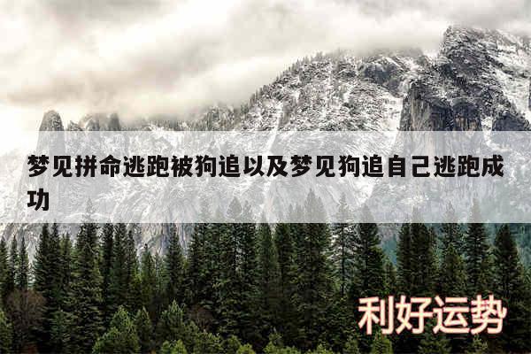 梦见拼命逃跑被狗追以及梦见狗追自己逃跑成功