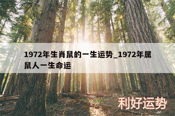1972年生肖鼠的一生运势_1972年属鼠人一生命运