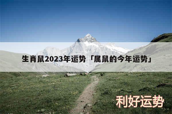 生肖鼠2024年运势及属鼠的今年运势