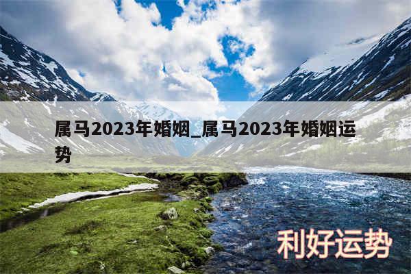 属马2024年婚姻_属马2024年婚姻运势