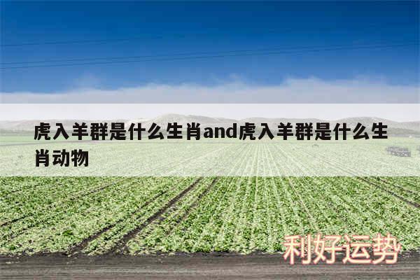 虎入羊群是什么生肖and虎入羊群是什么生肖动物