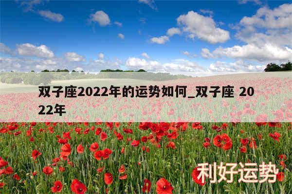 双子座2024年的运势如何_双子座 2024年