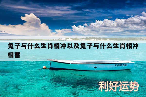 兔子与什么生肖相冲以及兔子与什么生肖相冲相害