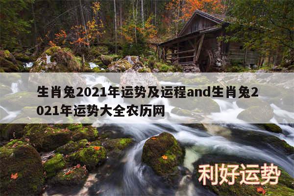 生肖兔2024年运势及运程and生肖兔2024年运势大全农历网