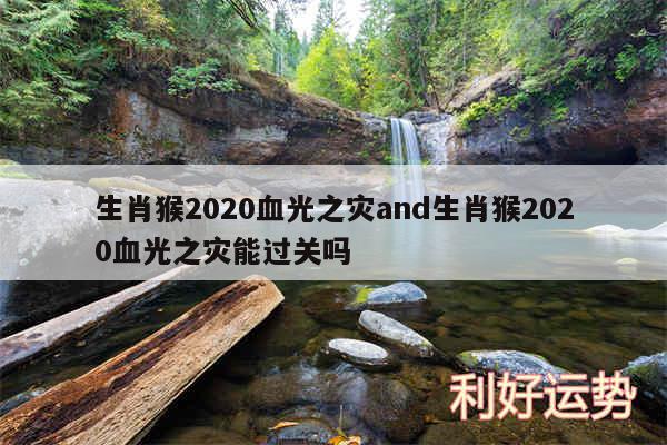 生肖猴2020血光之灾and生肖猴2020血光之灾能过关吗