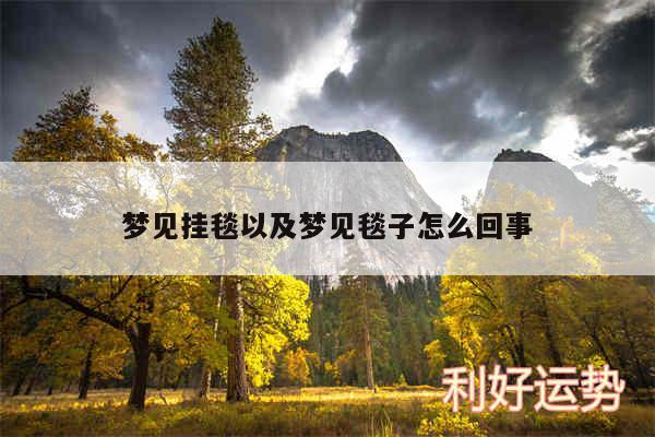 梦见挂毯以及梦见毯子怎么回事