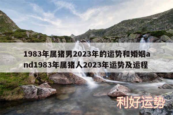 1983年属猪男2024年的运势和婚姻and1983年属猪人2024年运势及运程