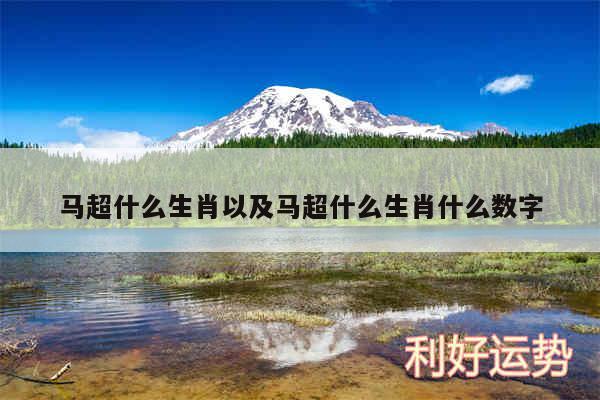 马超什么生肖以及马超什么生肖什么数字