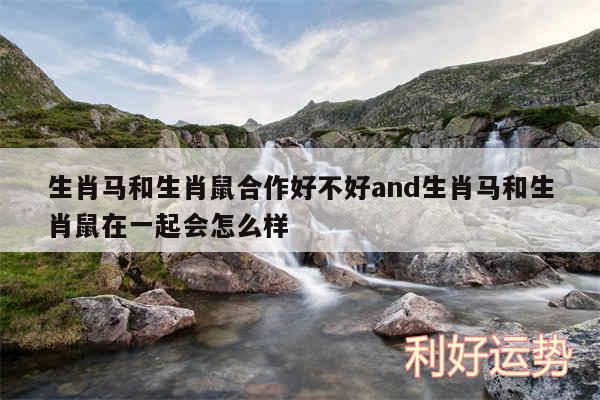 生肖马和生肖鼠合作好不好and生肖马和生肖鼠在一起会怎么样