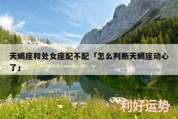 天蝎座和处女座配不配及怎么判断天蝎座动心了