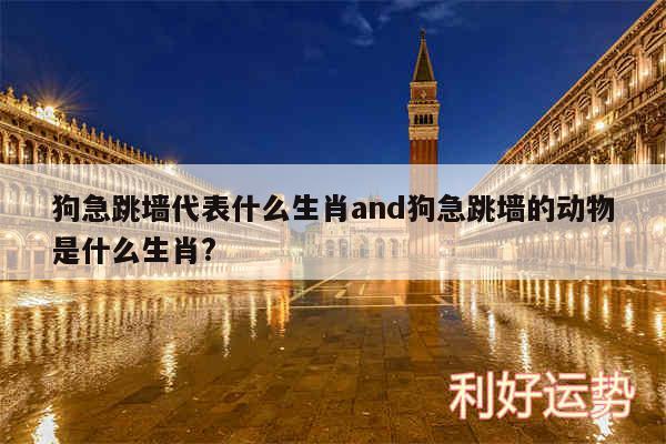 狗急跳墙代表什么生肖and狗急跳墙的动物是什么生肖?