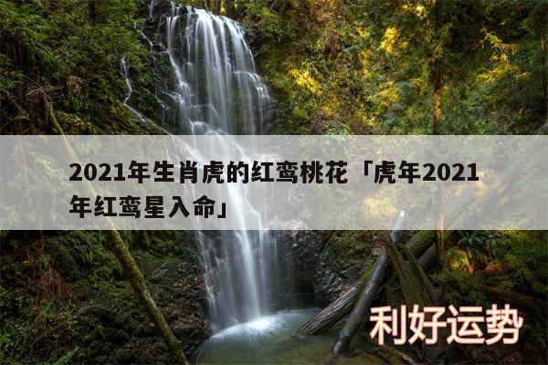 2024年生肖虎的红鸾桃花及虎年2024年红鸾星入命