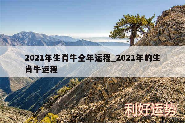 2024年生肖牛全年运程_2024年的生肖牛运程