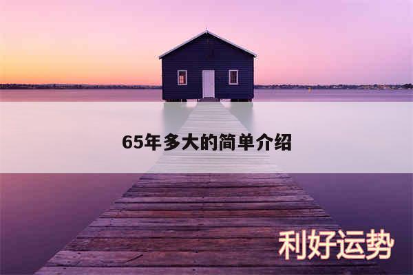 65年多大的简单介绍