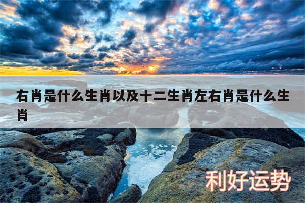 右肖是什么生肖以及十二生肖左右肖是什么生肖