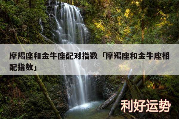 摩羯座和金牛座配对指数及摩羯座和金牛座相配指数