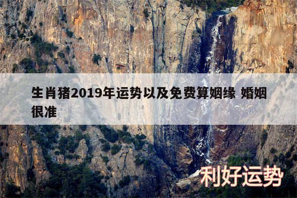 生肖猪2019年运势以及免费算姻缘 婚姻很准