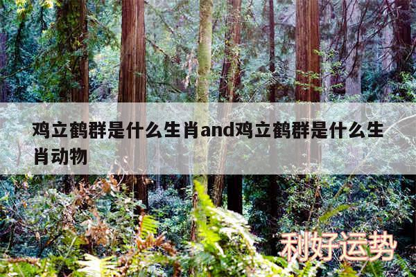 鸡立鹤群是什么生肖and鸡立鹤群是什么生肖动物